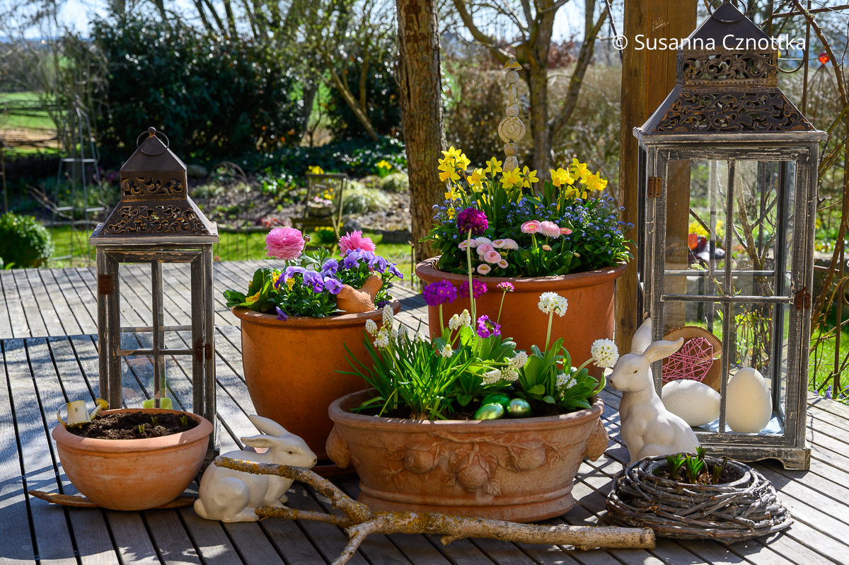 Gartendekoration: Osterschmuck auf der Terrasse mit zwei weißen Keramikhasen und drei mit Narzissen, Kugel-Primeln, Maßliebchen und Trauben-Hyazinthen bepflanzten Terracottatöpfen