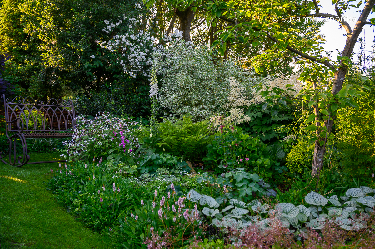 Gartenraum mit überwiegend weißen Blüten und weiß panaschierten Blättern