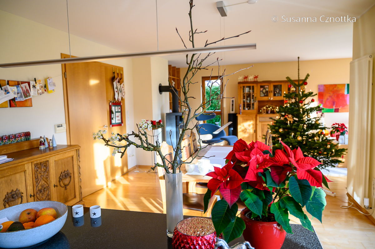 Ein weihnachtlich geschmücktes Wohnzimmer mit Christbaum, Weihnachtsstern und blühendem Barbarazweig