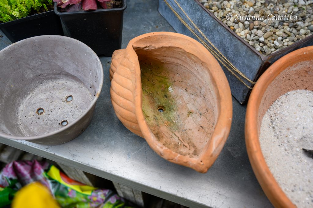Gartendekorationen mit Hauswurzen (Sempervivum) Einfach Garten