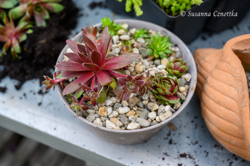 Hexenbein Deko - Lustige Halloween Dekoration Für Garten & Rasen