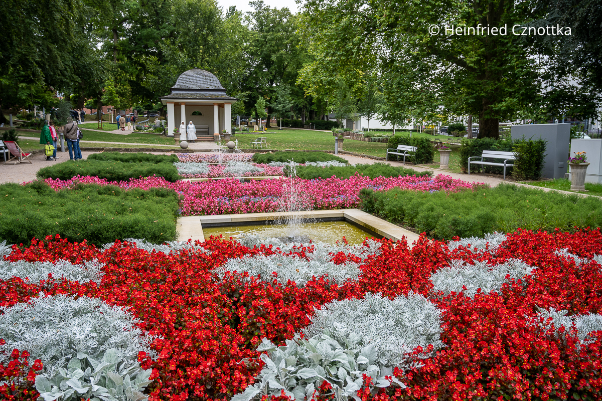 Eis-Begonien, weißfilziges Greiskraut (Jacobaea maritima) und die Greiskrautsorte 'Angel Wings' im Sonnengarten, Landesgartenschau Bad Nenndorf Rote Eis-Begonien, weißfilziges Greiskraut (Jacobaea maritima) und die Greiskrautsorte 'Angel Wings' im Sonnengarten, Landesgartenschau Bad Nenndorf