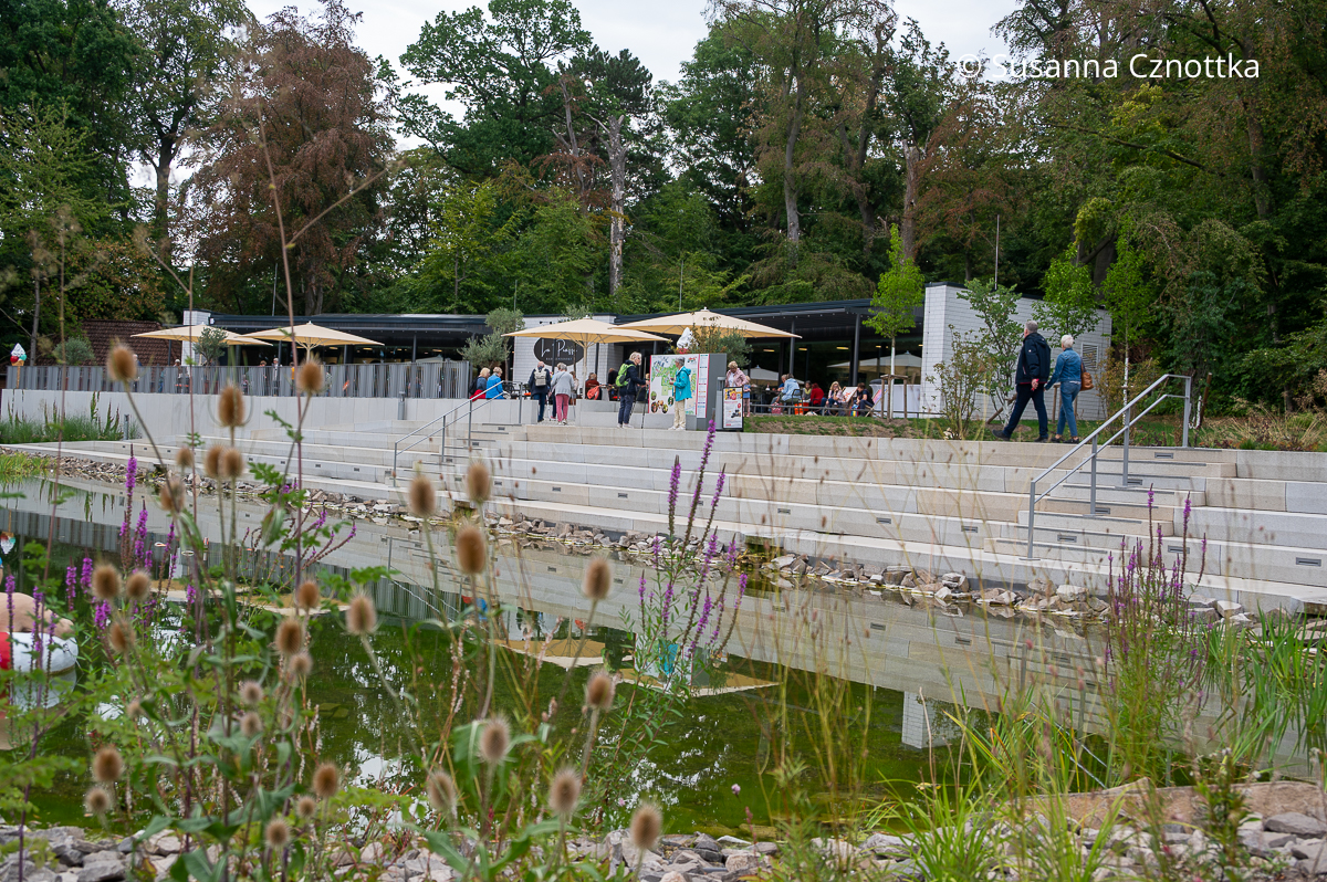 Stufen am See vor der sanierten Liegehalle in Bad Nenndorf Stufen am See vor der sanierten Liegehalle in Bad Nenndorf