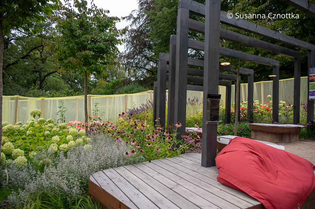 Ein dicht mit Stauden und Rispen-Hortensien bepflanzter Schaugarten Ein dicht mit Stauden und Rispen-Hortensien bepflanzter Schaugarten