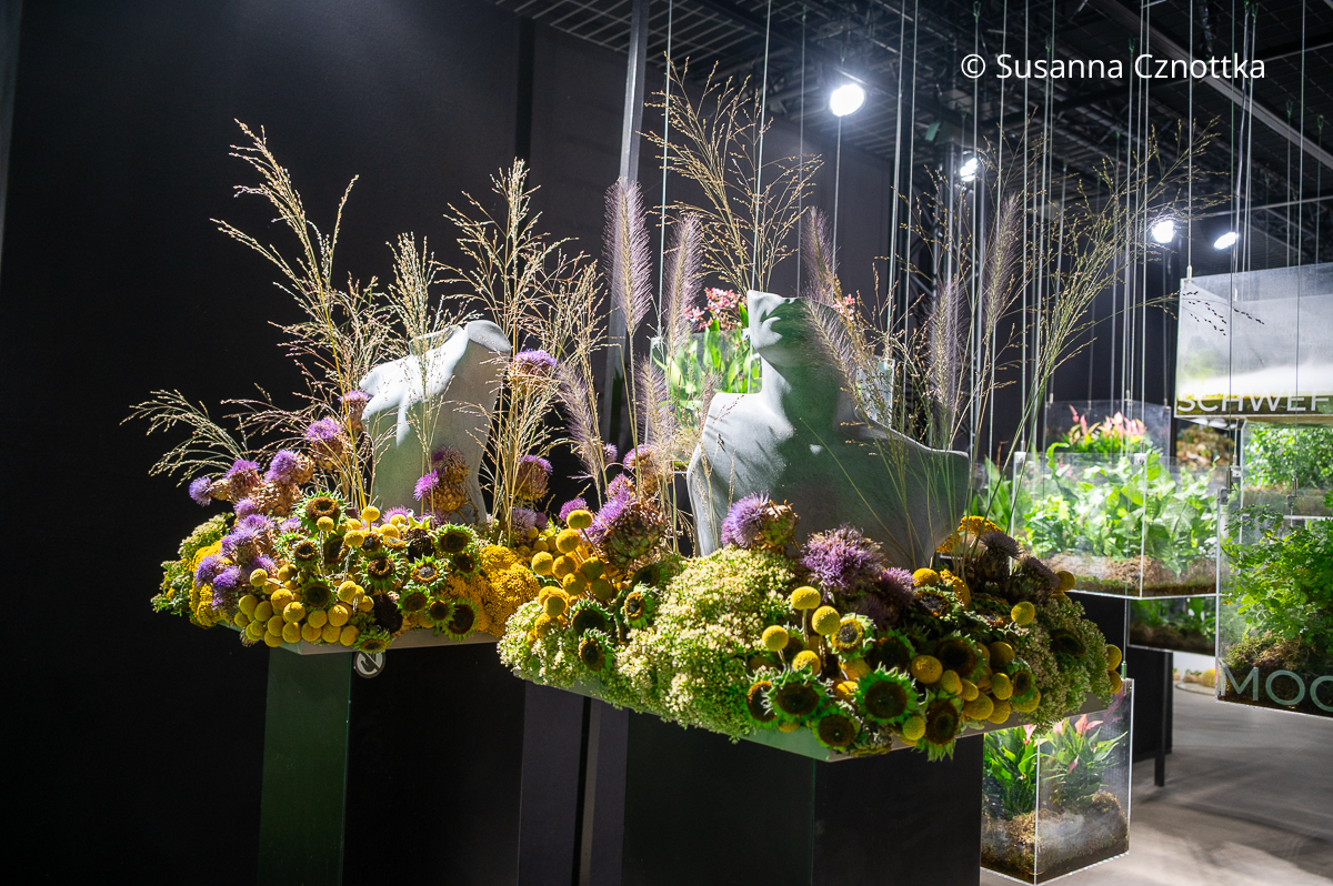 Floristische Werkstücke in der Blumenhalle der Landesgartenschau Bad Nenndorf Floristische Werkstücke in der Blumenhalle der Landesgartenschau Bad Nenndorf