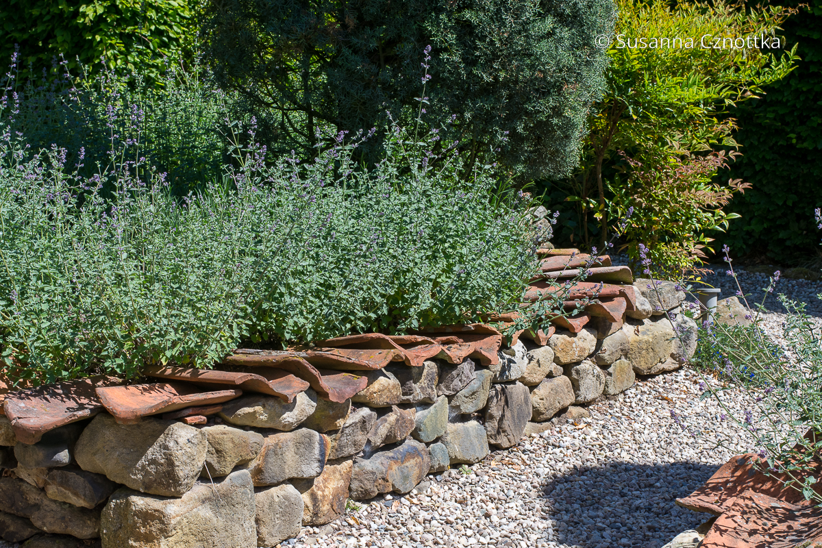 Trockenmauer im Garten mit Ziegelabdeckung 
