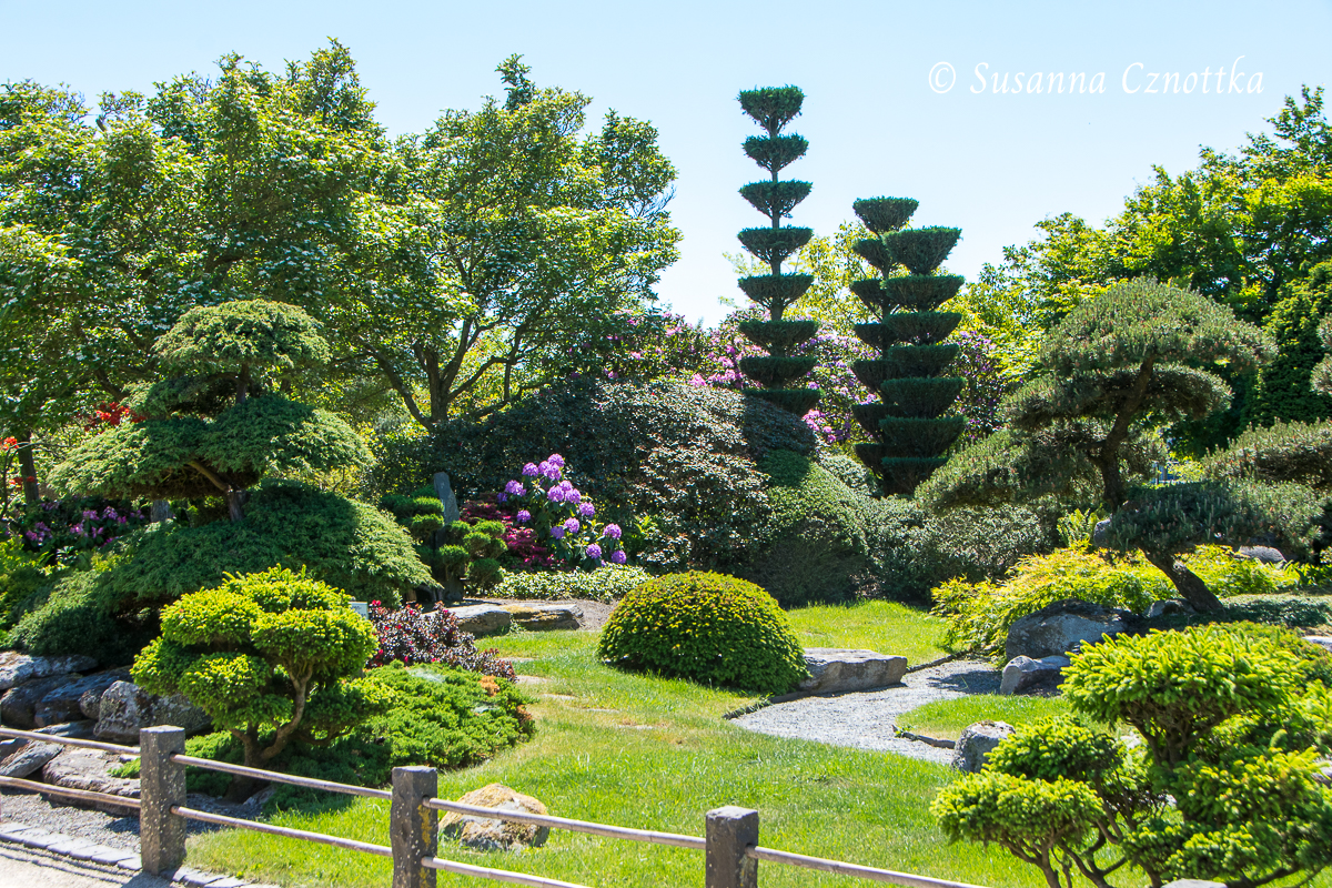 Garten nach japanischem Vorbild
