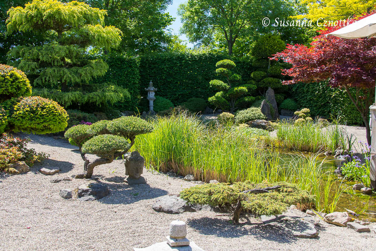Von einem buddhistischen Koi-Zen-Garten inspirierte Anlage