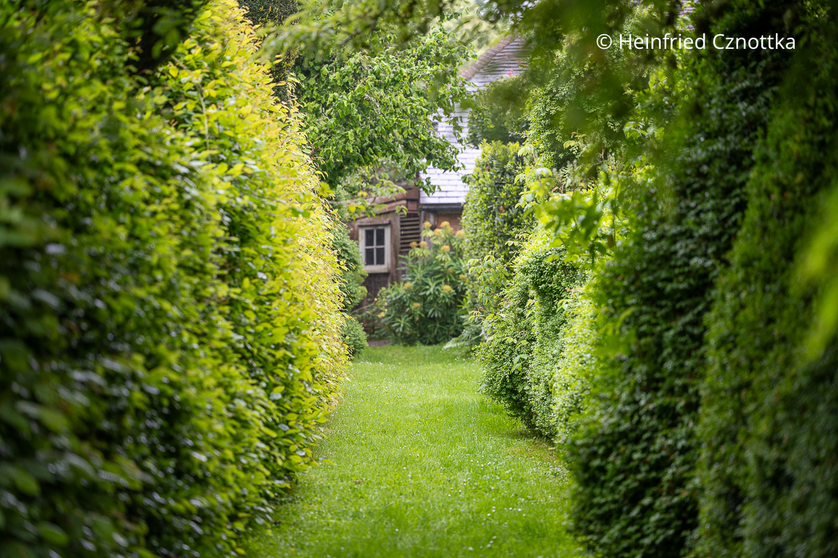 Blickachse: ein Rasenweg zwischen hohen Hecken