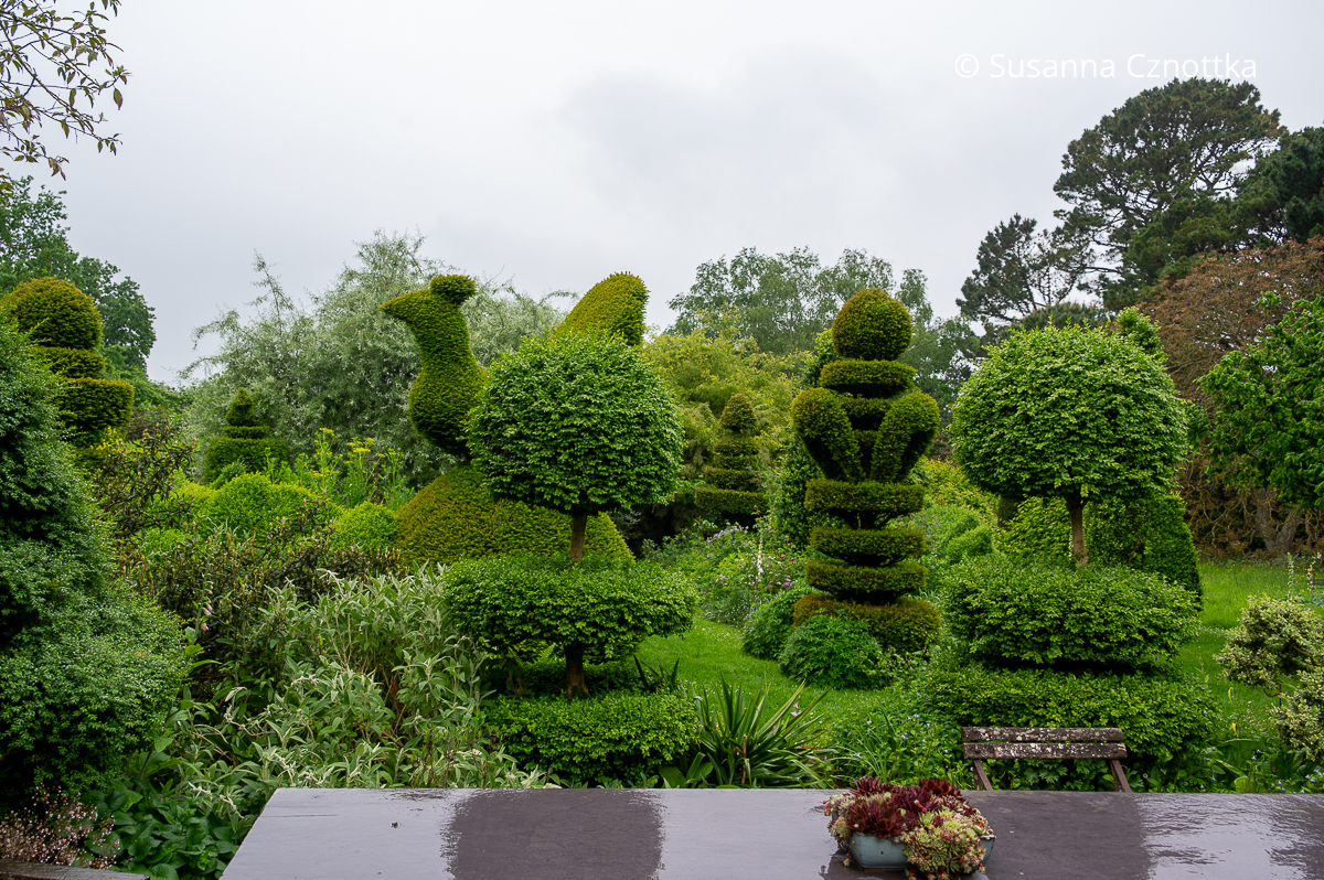 Mit Eiben gestalten: phantasievolle Formschnittfiguren im Garten von Balmoral Cottage