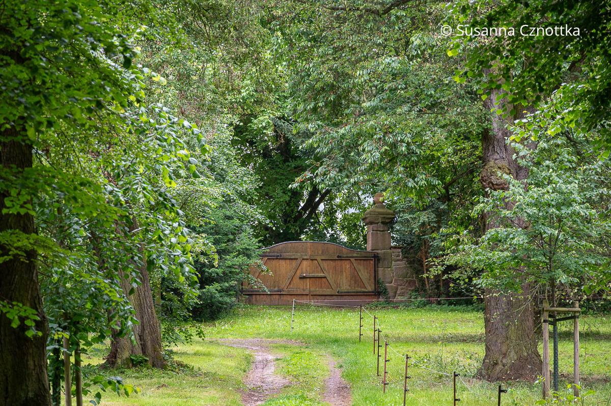 Ein hölzernes Tor war der Zugang zum Schlosspark Bendeleben