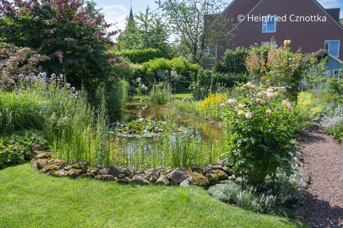 Ein attraktiv angelegter Gartenteich mit lockerer Uferbepflanzung Ein attraktiv angelegter Gartenteich mit lockerer Uferbepflanzung