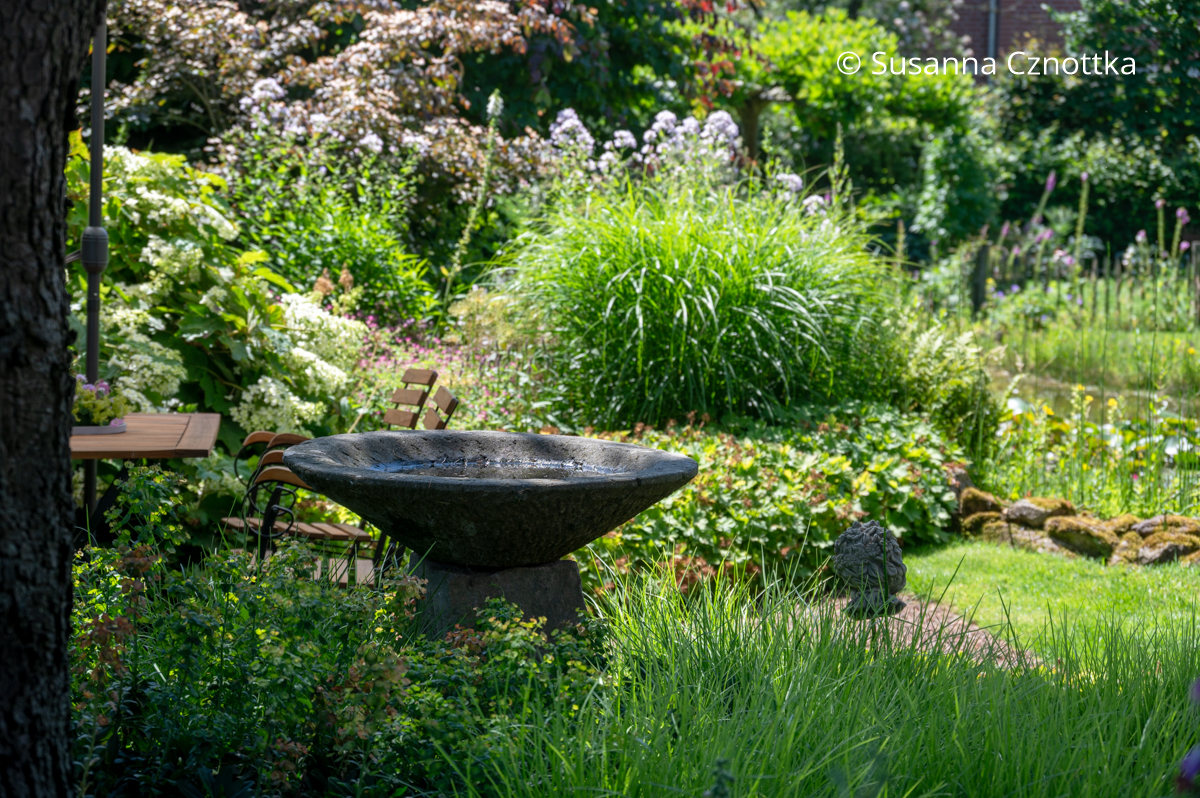 Hingucker im Garten: eine große steinerne Schale als Vogelbad Hingucker im Garten: eine große steinerne Schale als Vogelbad