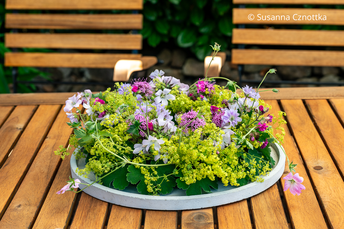 Ein Gesteck mit Frauenmantel (Alchemilla mollis), Rosenwaldmeister (Phuopsis stylosa) und Storchschnabel in einer flachen Schale