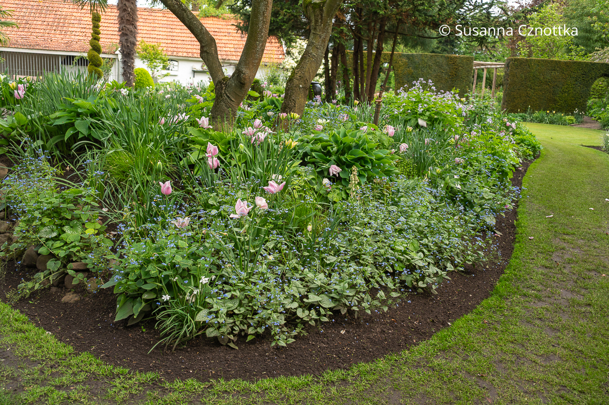 Beete begrenzen: eine einfache abgestochene Rasenkante Eine einfache abgestochene Rasenkante trennt den Rasen von einem Beet