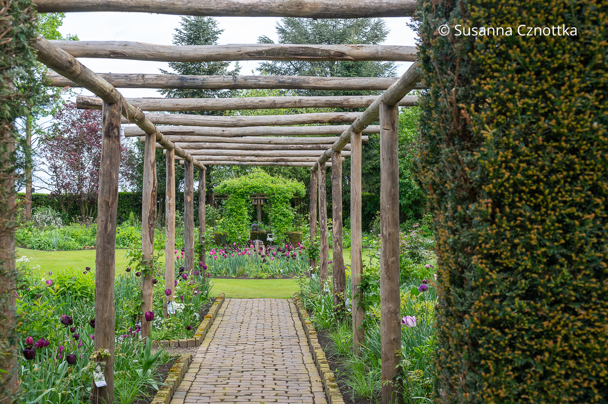Gartengestaltung: eine Sichtachse führt durch eine Pergola zu einem Rosenbogen