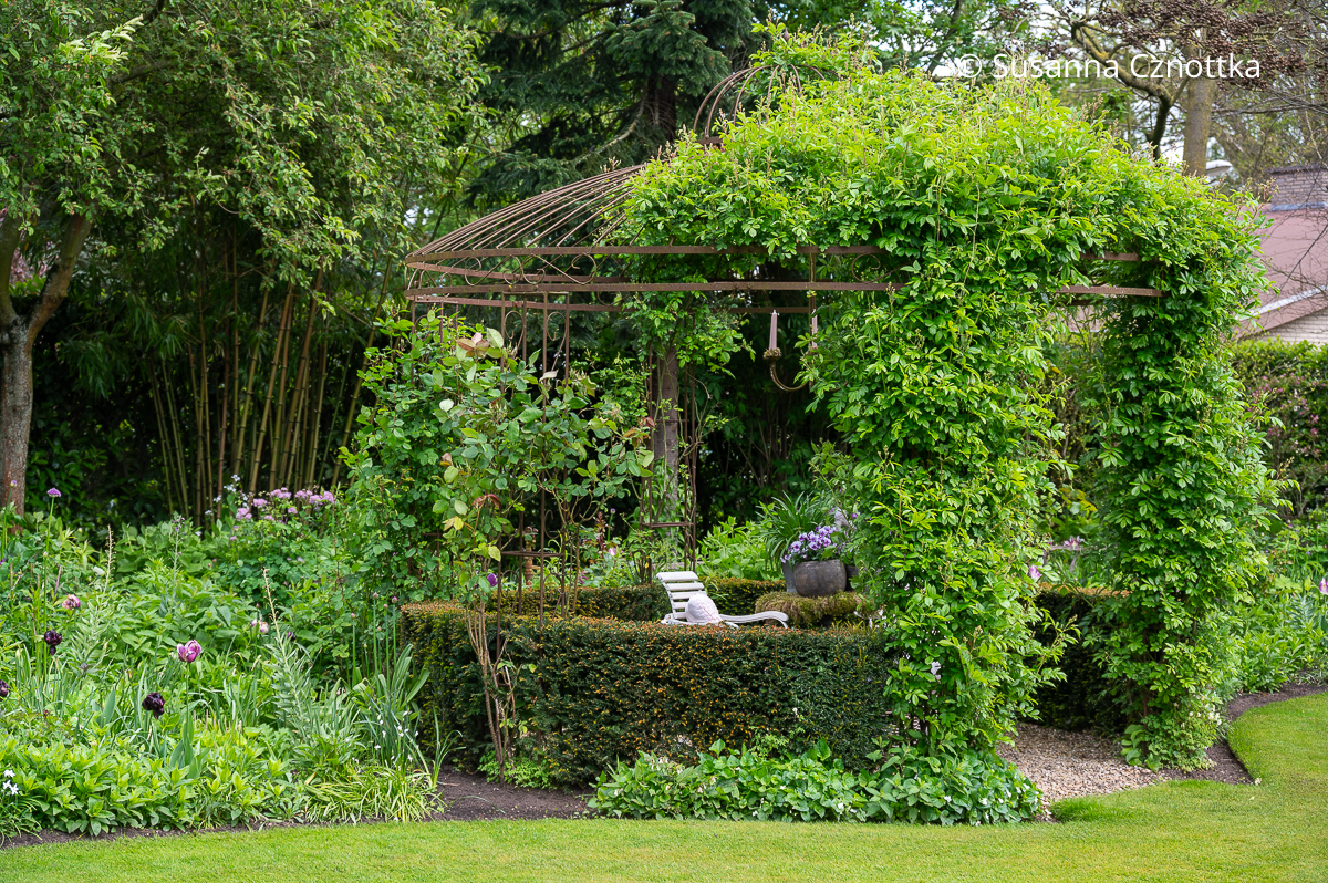 Ein Rosenpavillon als Gartenraum