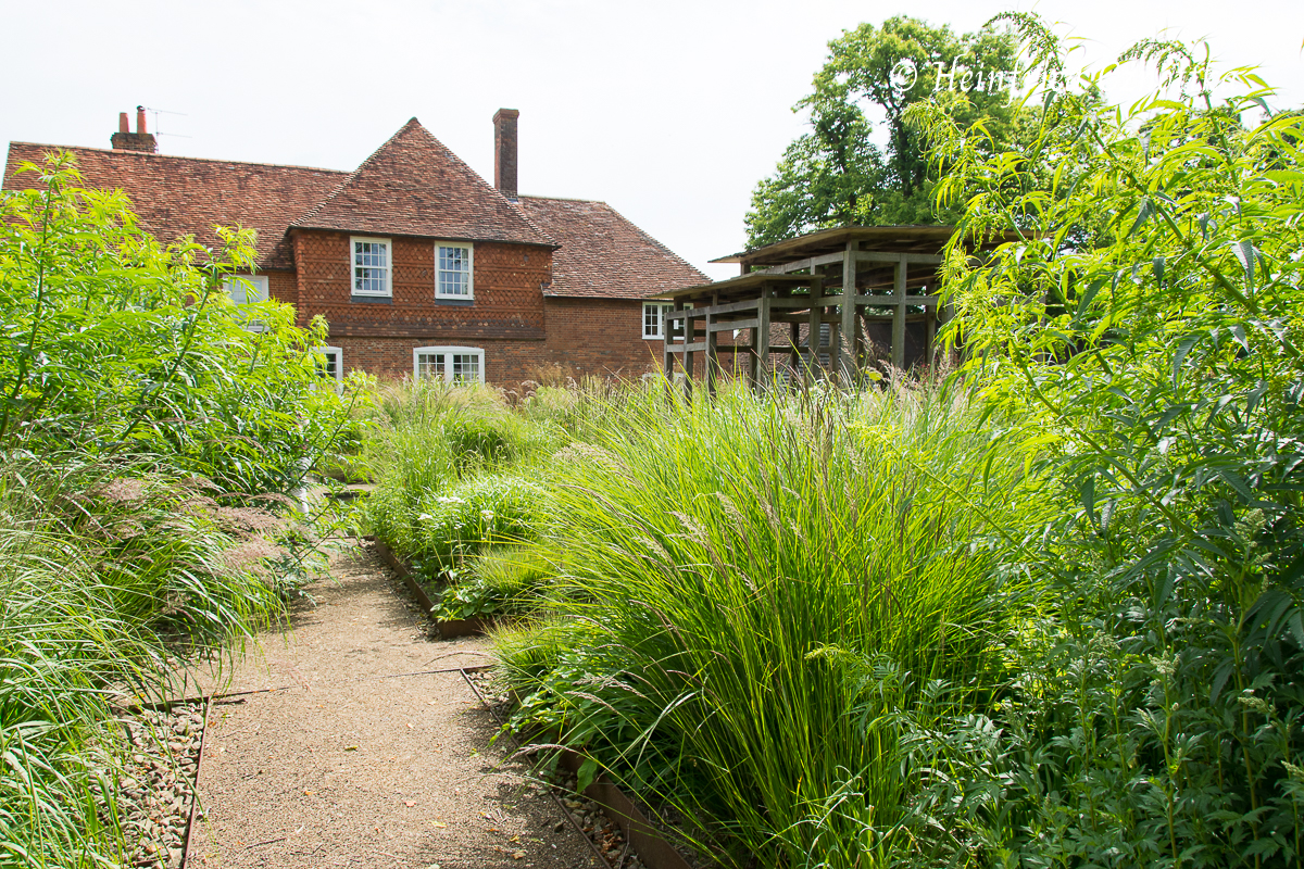 Garten von Bury Court; Gräser