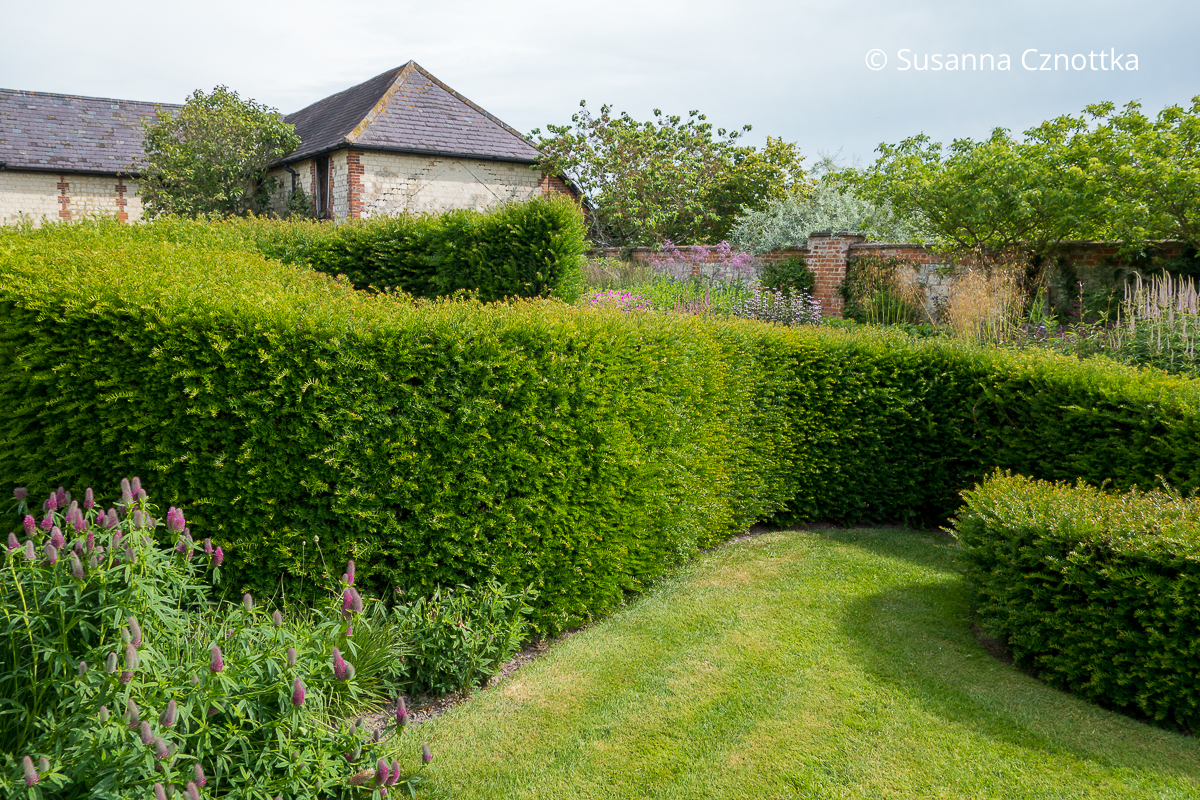 Geschwungene Eibenhecke im Garten von Bury Court