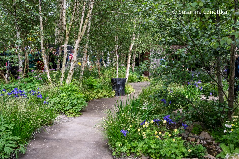 Gartenreise England Chelsea Flower Show Teil 1 Einfach Garten
