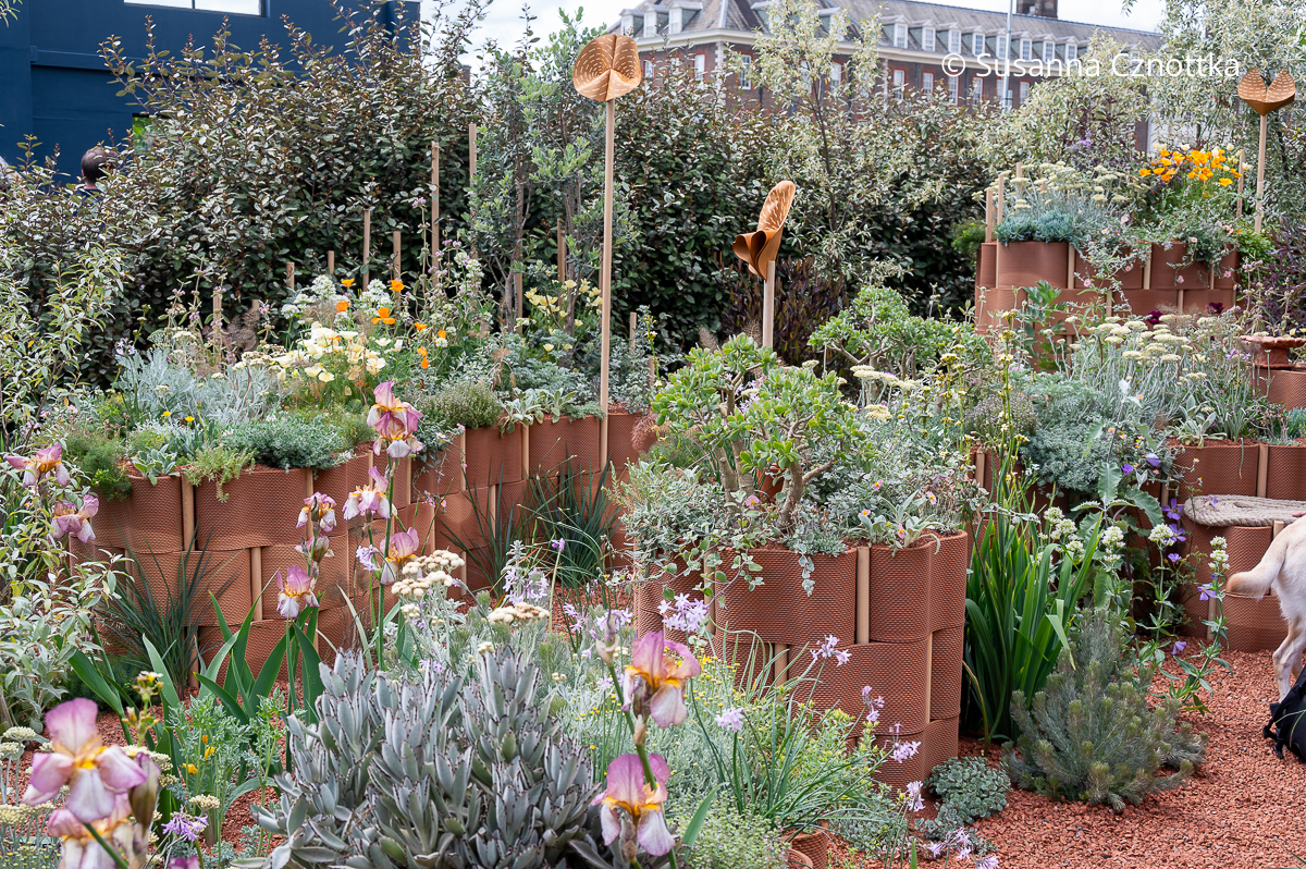 Chelsea Flower Show: World Child Cancer’s Nurturing Garden