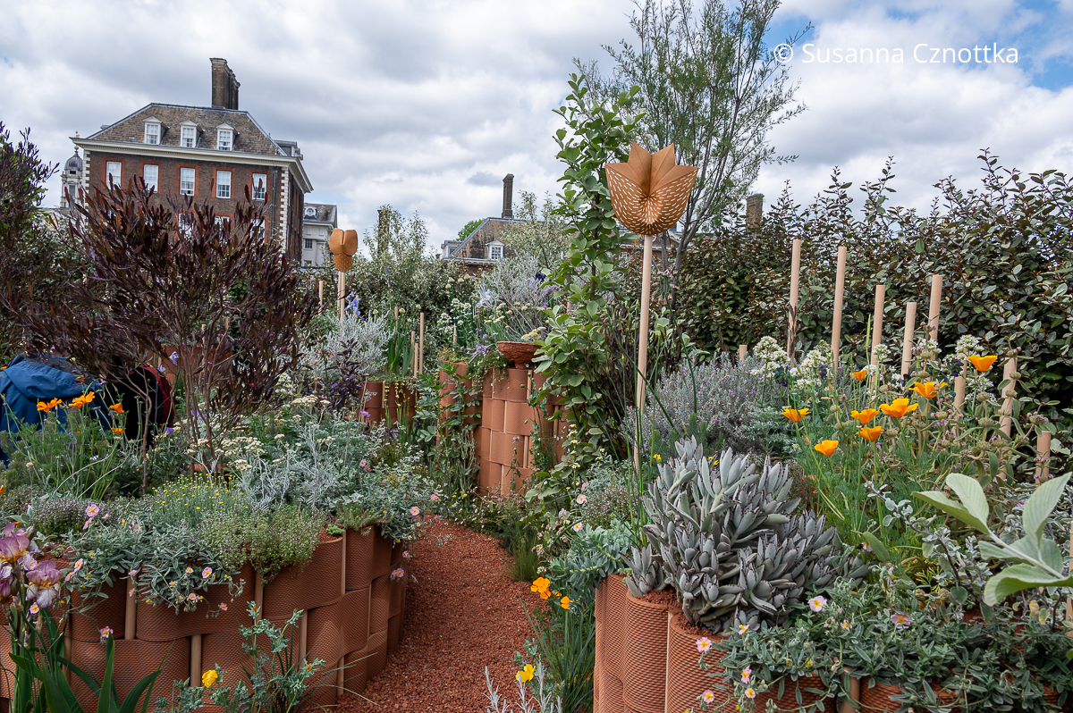 Chelsea Flower Show: World Child Cancer’s Nurturing Garden