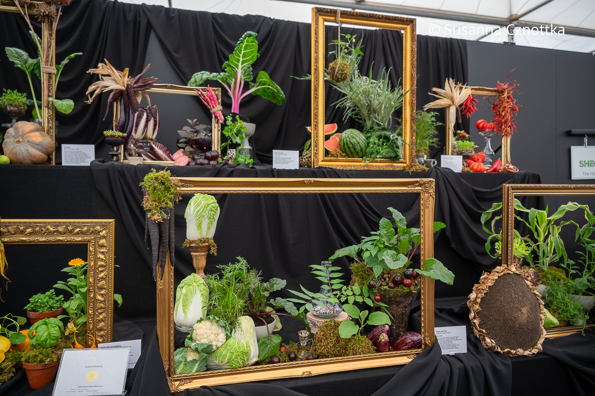 Gemüse als Gemälde gerahmt auf der Chelsea Flower Show