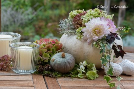 Herbstliche Terrassendekoration mit zwei Kürbissen, Blüten von Hortensien und Dahlien, Moos und zwei Windlichtern mit Kerzen