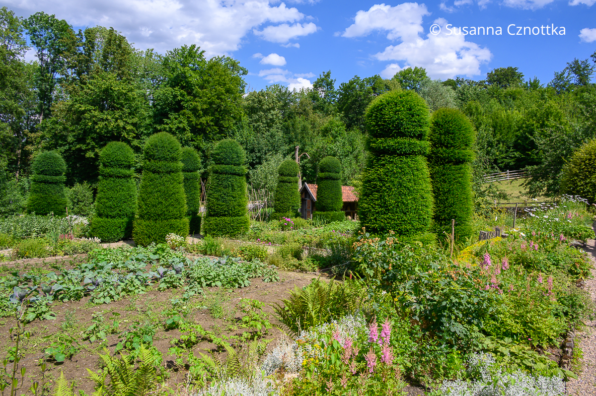 Stattliche Eibensäulen in einem dem 18. Jahrhundert nachempfundenen Bauerngarten