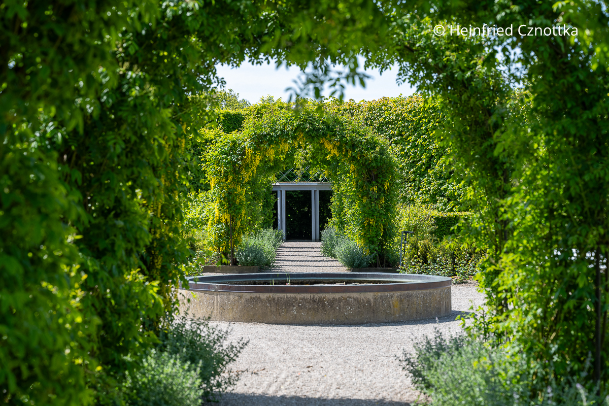 Blick auf einen Pavillon durch Bögen mit blühendem Goldregen
