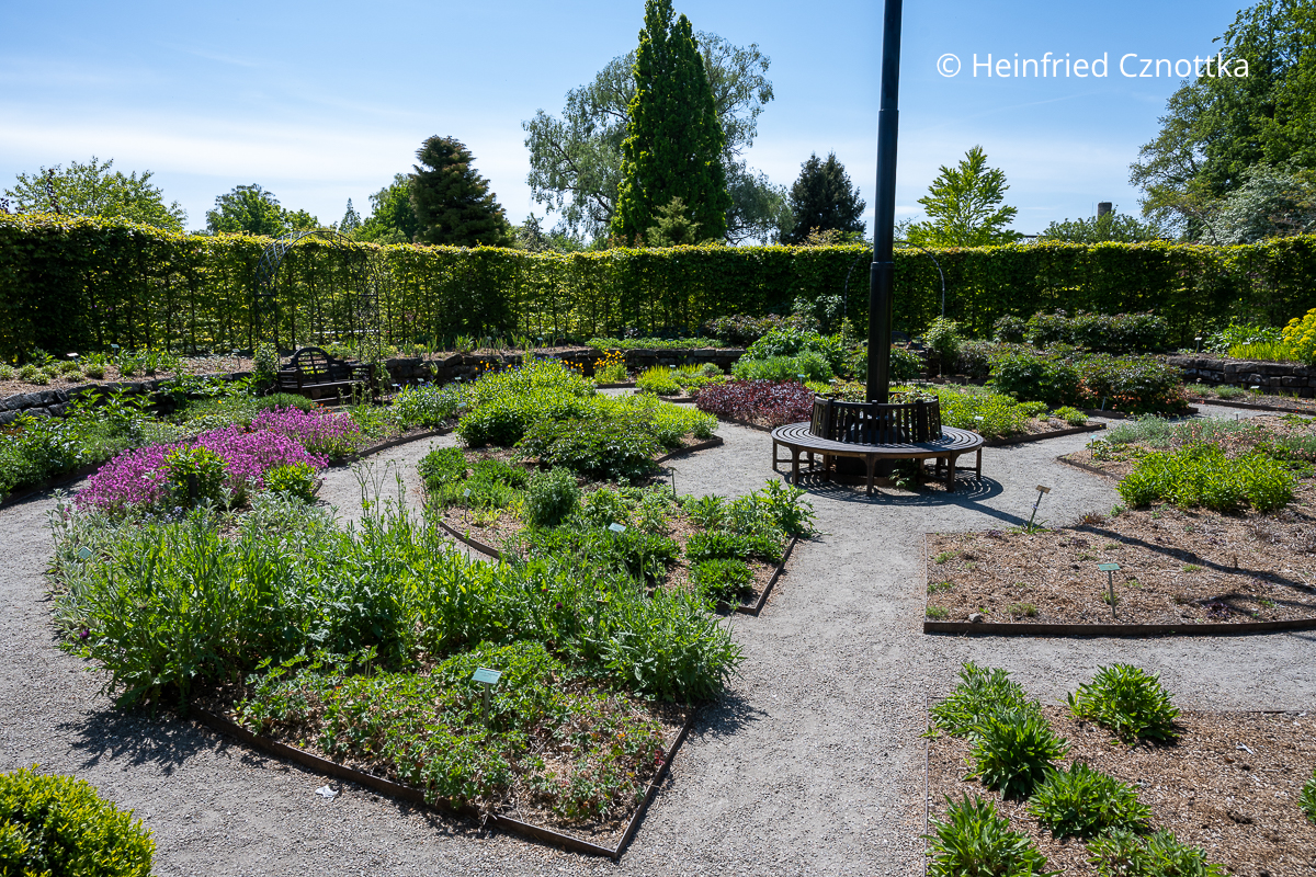 Rund angeordnete Beete im Sonnengarten von Schloss Egeskov auf Fünen in Dänemark