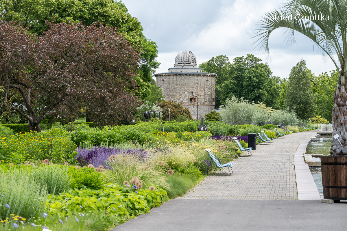 Blick auf eine großzügige Staudenpflanzung und die Sternwarte im Egapark