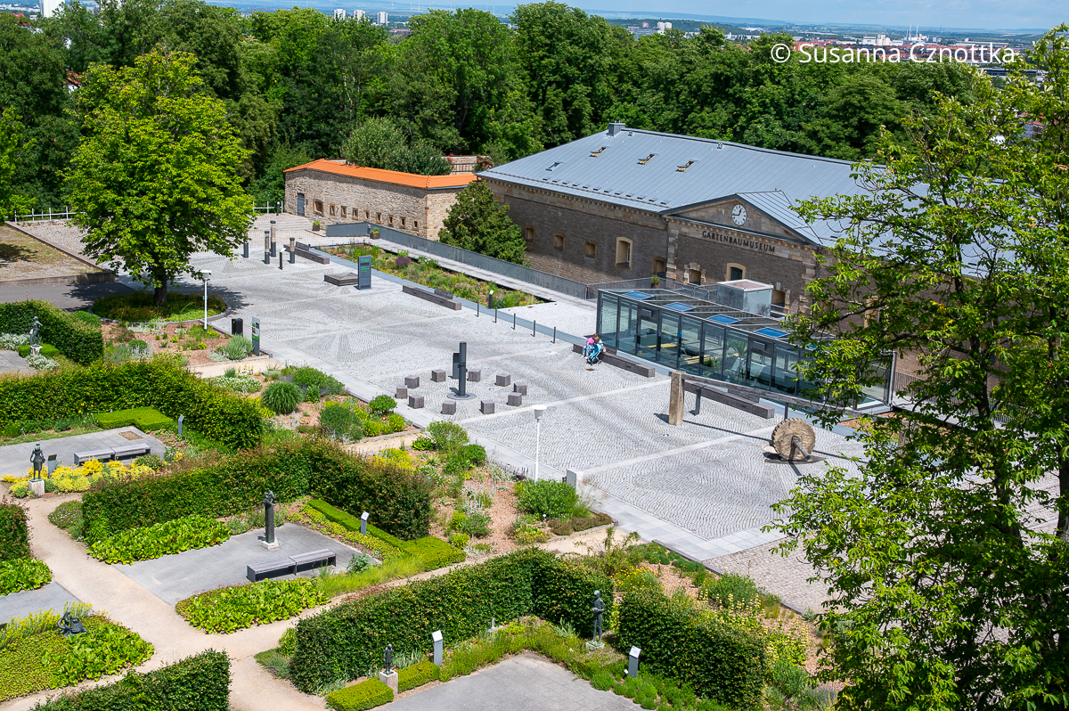 Blick auf den Skulpturenpark und das Deutsche Gartenbaumuseum Blick auf den Skulpturenpark und das Deutsche Gartenbaumuseum
