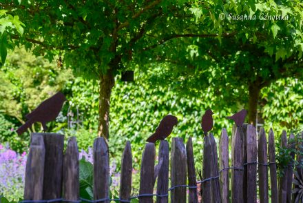 Gartendekoration: Rostvögel sitzen auf einem Staketenzaun