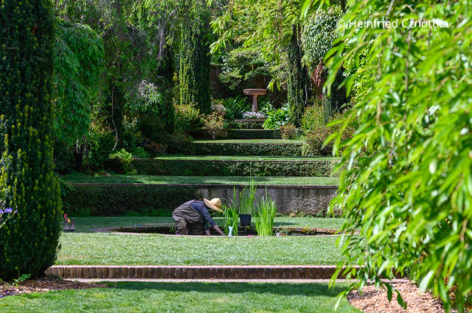 Blickachse über terrassierte Rasenflächen in Filoli