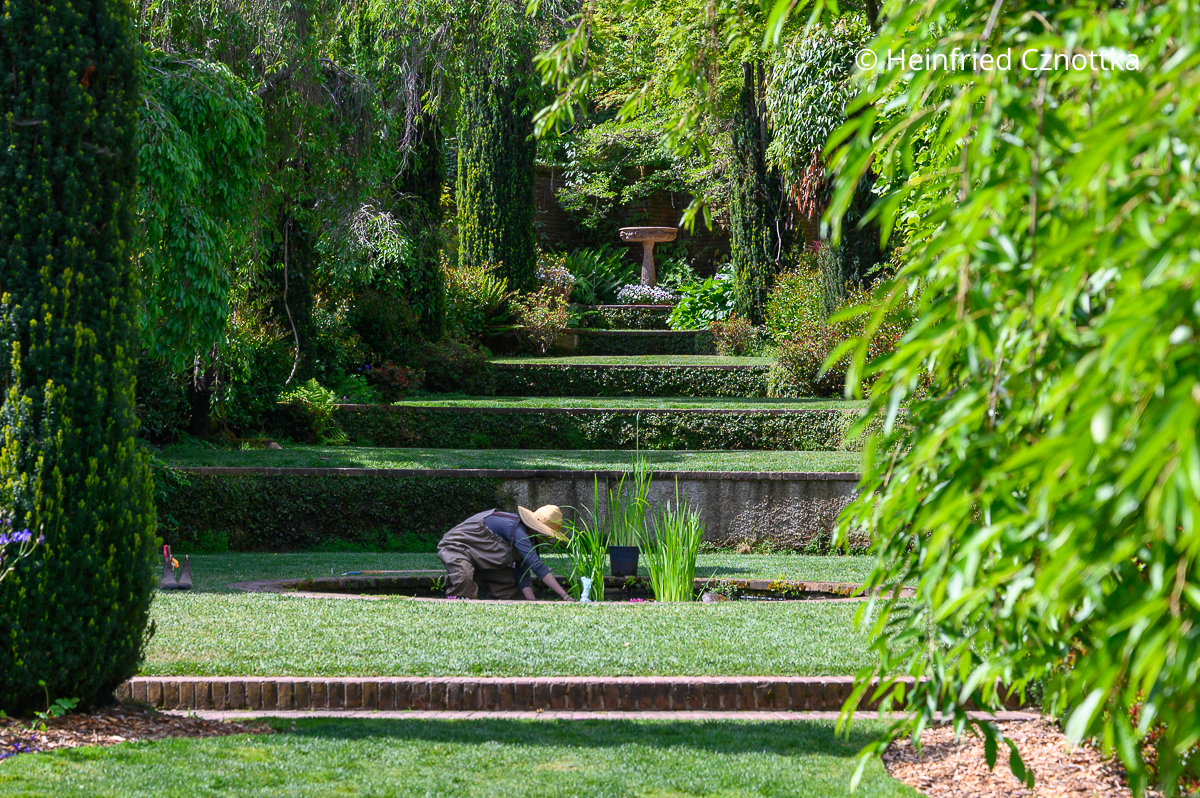 Blickachse über terrassierte Rasenflächen in Filoli
