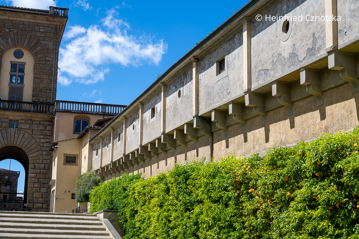 Der Vasarikorridor in Florenz Der Vasarikorridor in Florenz: ein Gang mit kleinen Fenstern, darunter eine Mauer, die mit Zitruspflanzen bewachsen ist
