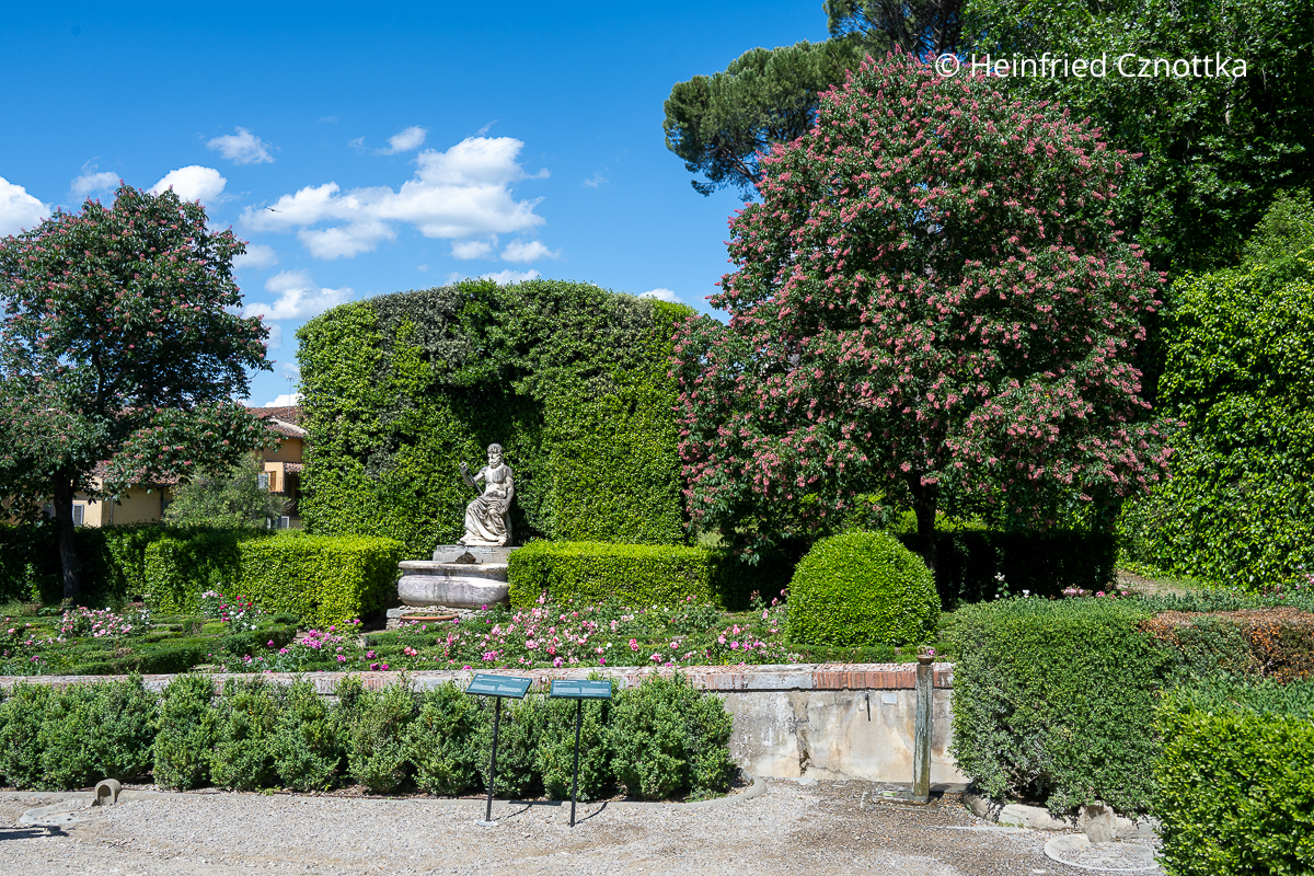 Eine Statue und zwei rote Kastanien an einem Rosengarten im Giardino die Boboli, Florenz Eine Statue und zwei rote Kastanien an einem Rosengarten im Giardino die Boboli, Florenz