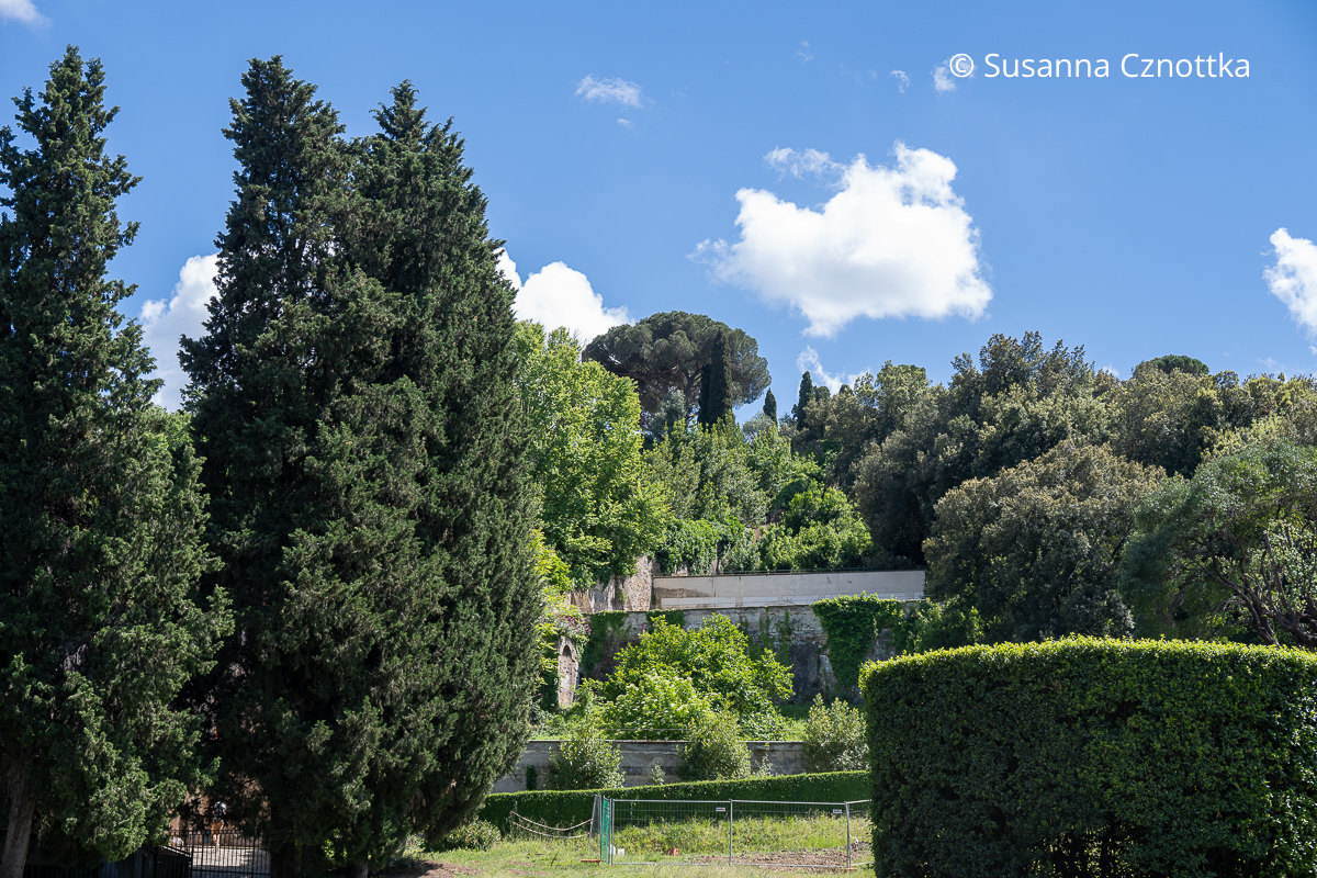 Hohe mediterrane Bäume prägen das Bild im Giardino di Boboli Hohe mediterrane Bäume prägen das Bild im Giardino di Boboli