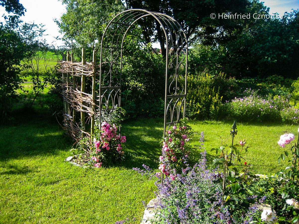 Gartenräume: Weidenzaun und Rosenbogen grenzen einen Raum ab