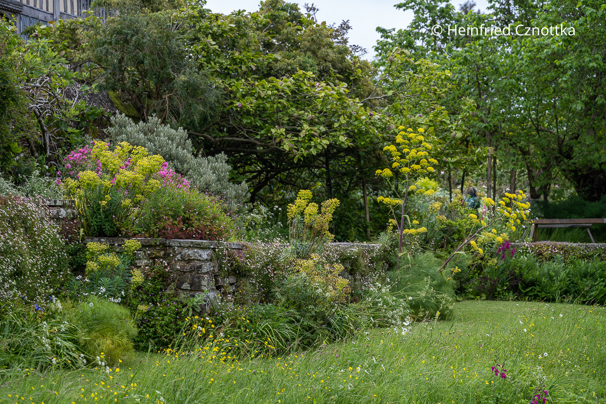 Beginn der Long Border in Great Dixter (Great Dixter House & Gardens)