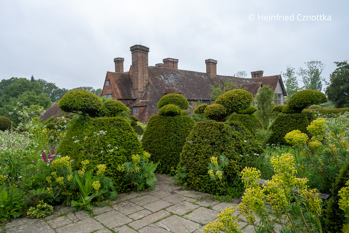 Pfauen aus Formschnitteiben im Peacock Garden, Great Dixter (Great Dixter House & Gardens)