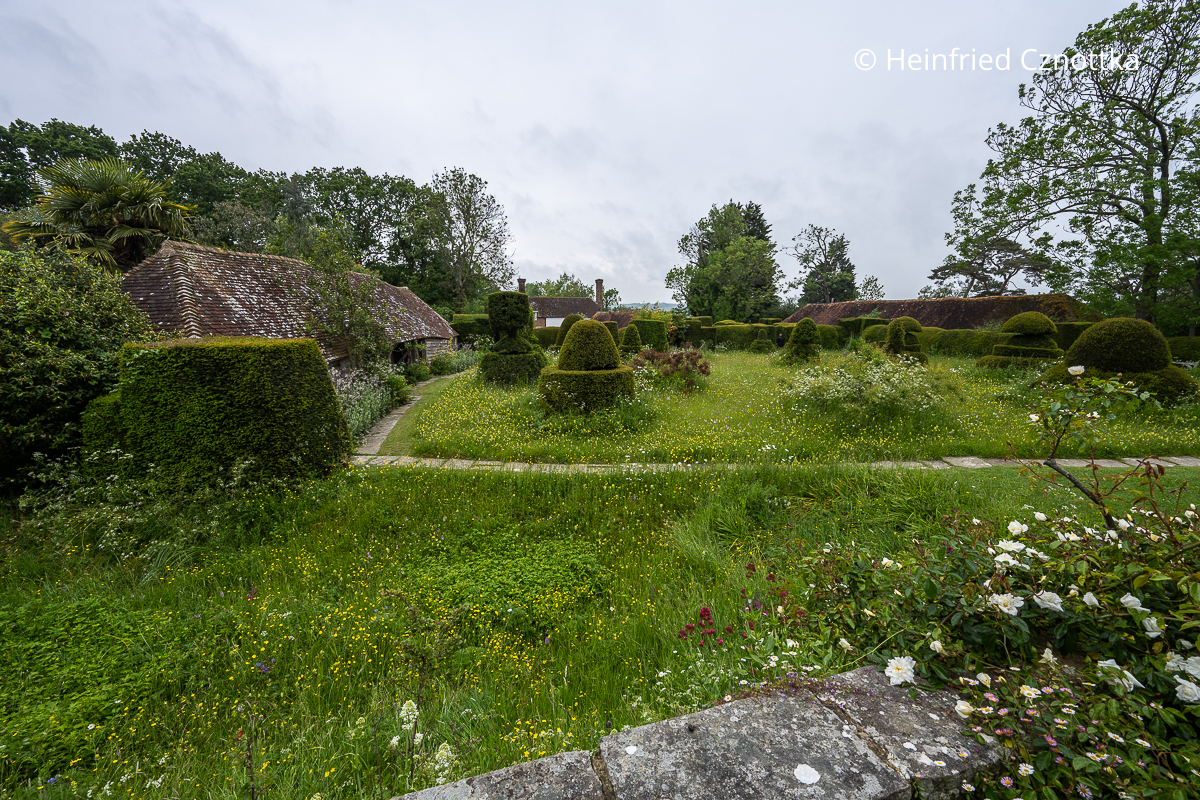 Topiary Lawn in Great Dixter: naturnahe Wiese mit Formschnittfiguren aus Eibe (Taxus baccata)