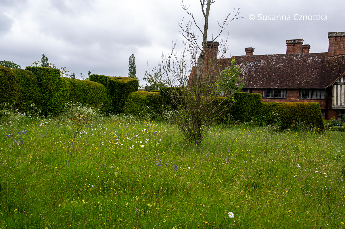  Front Meadow: eine naturnahe Wiese vor dem Herrenhaus Great Dixter