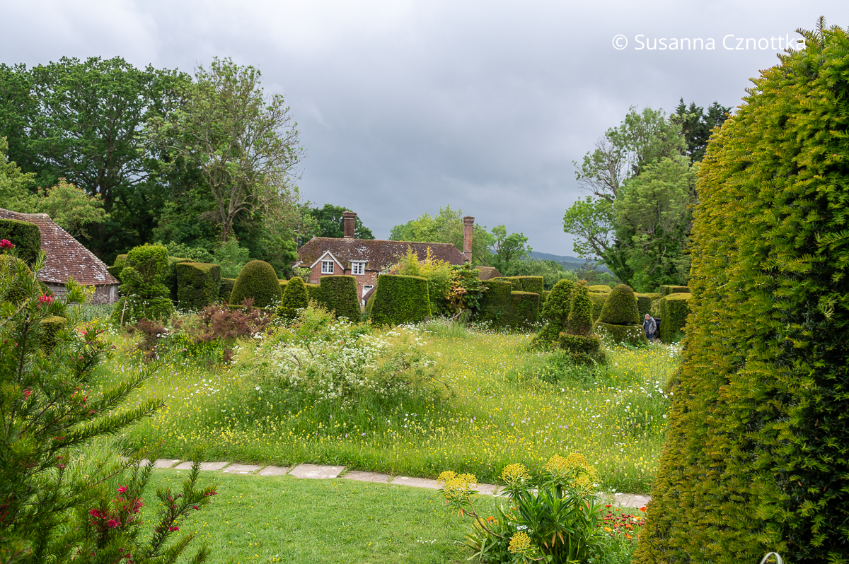 Topiary Lawn in Great Dixter: naturnahe Wiese mit Formschnitteiben