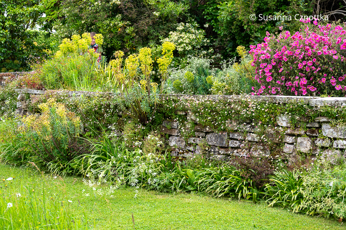 Eine bewachsene Natursteinmauer im Garten von Great Dixter (Great Dixter House & Gardens)