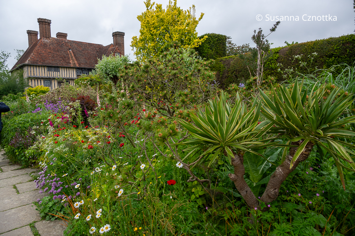 Eine Palmlilie (Yucca) bringt Struktur ins Beet (Great Dixter House & Gardens)