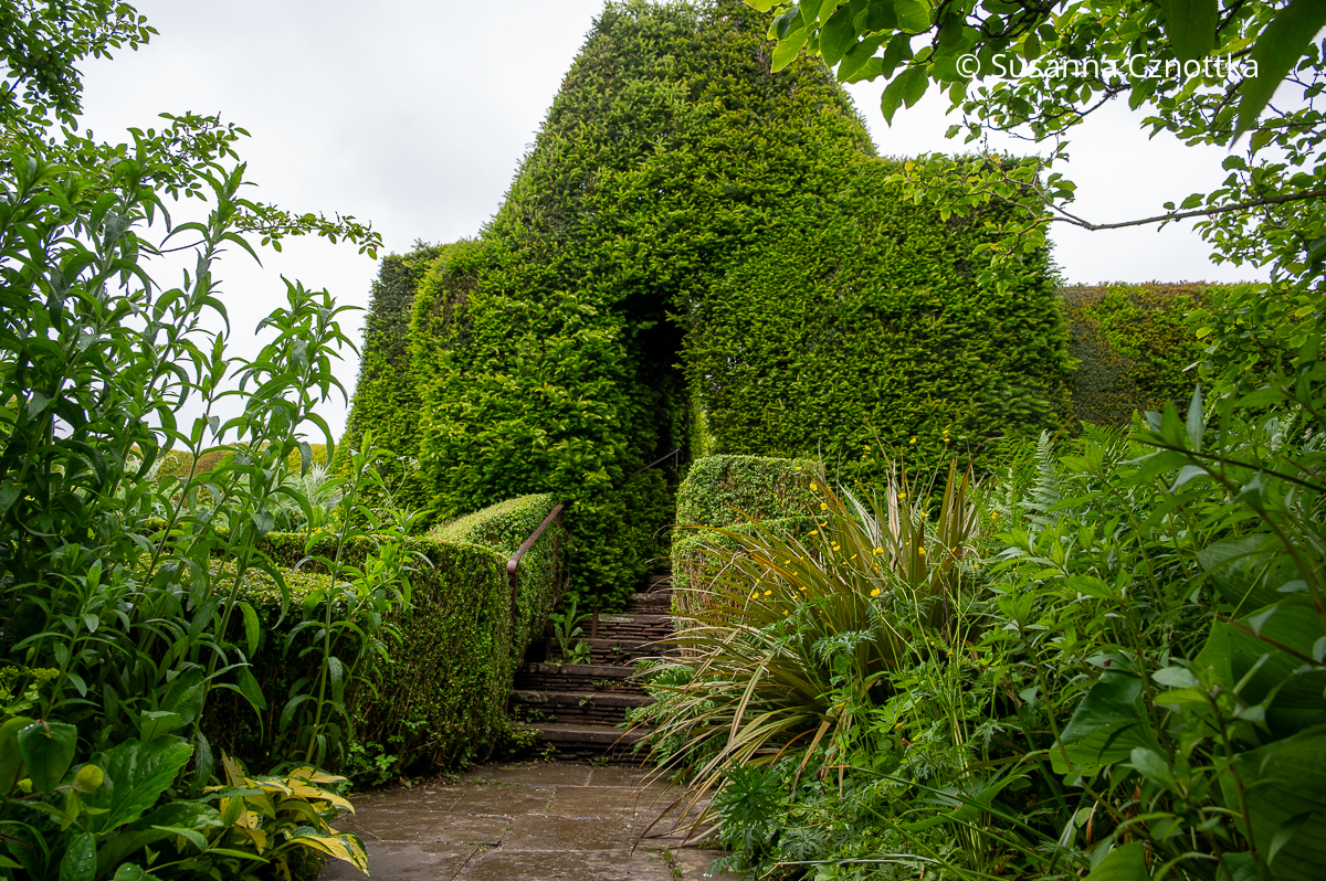Eine Treppe führt durch ein Tor aus Eiben in einen anderen Gartenraum (Great Dixter House & Gardens)