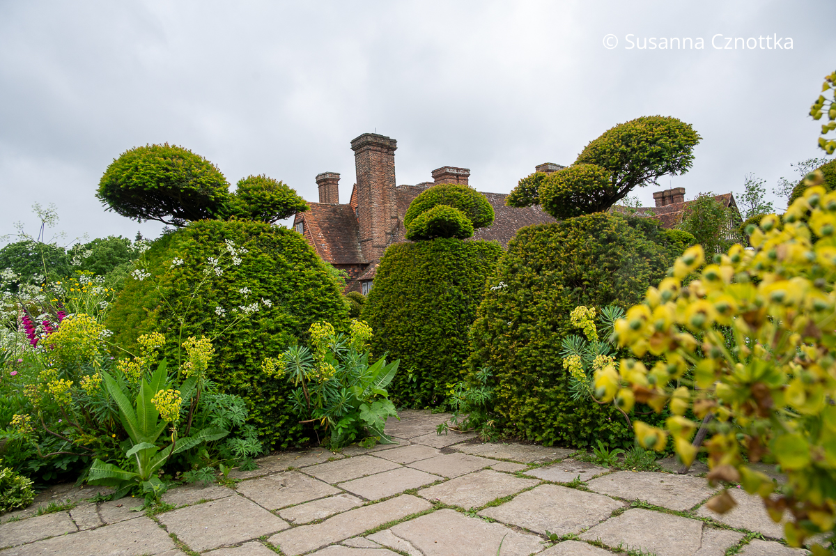 Vögel aus in Form geschnittenen Eiben in Great Dixter