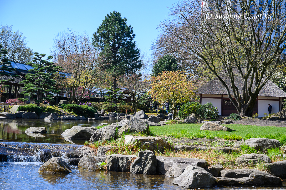 Wasserlandschaft und Teehaus im Japanischen Garten in Planten un Blomen